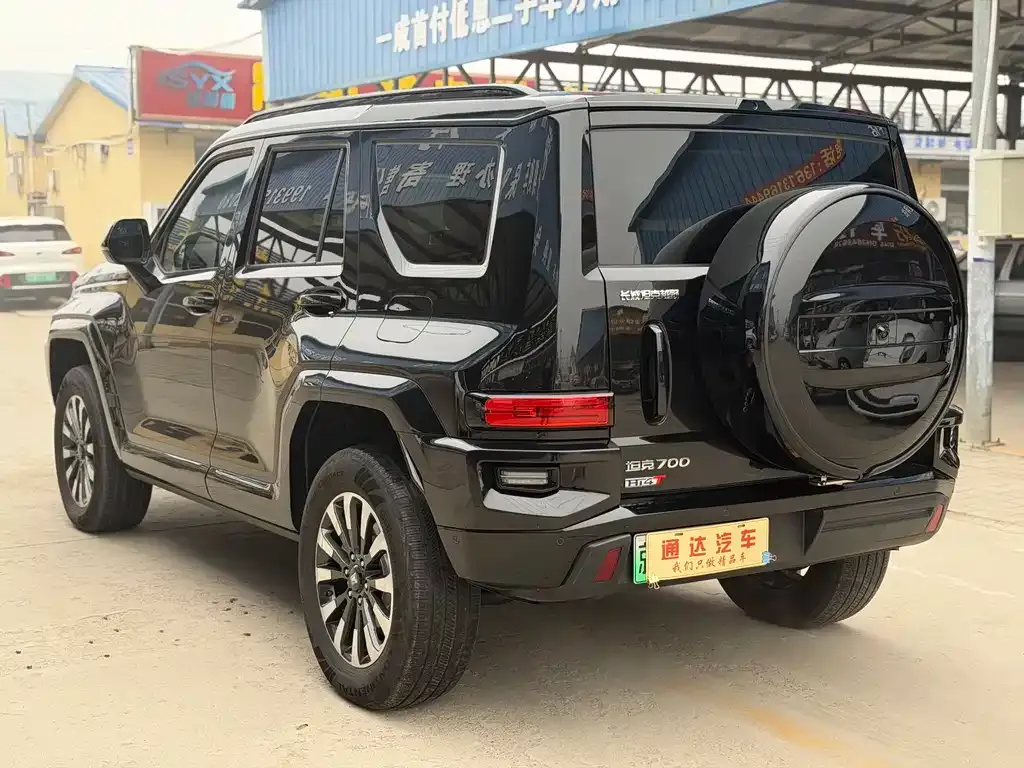 Tank 700 New Energy 2024 из CN, фото 4