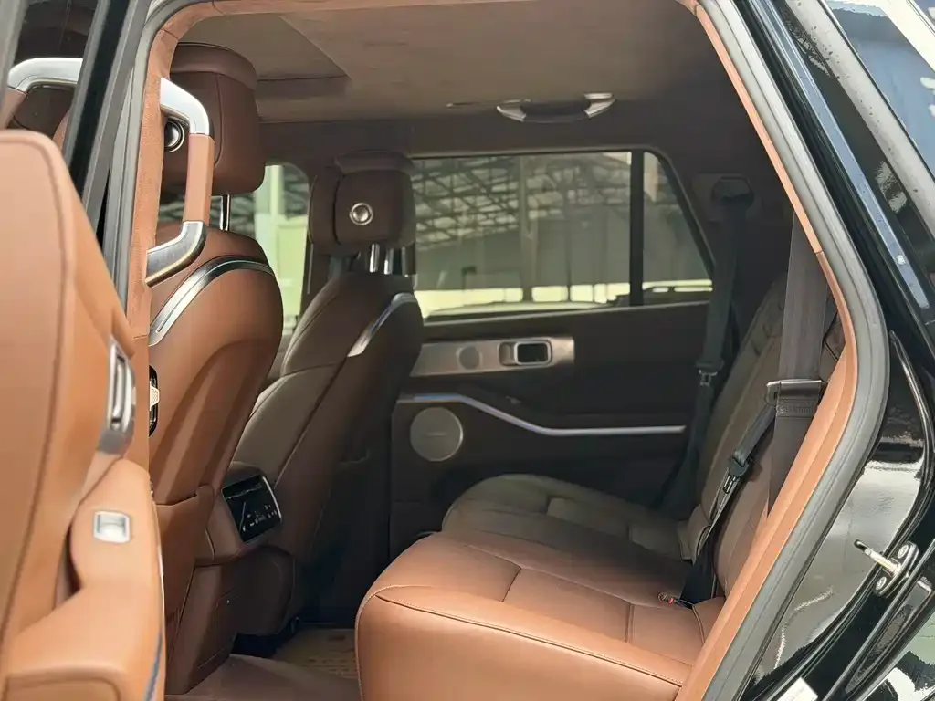 Tank 700 New Energy 2024 из CN, фото 9