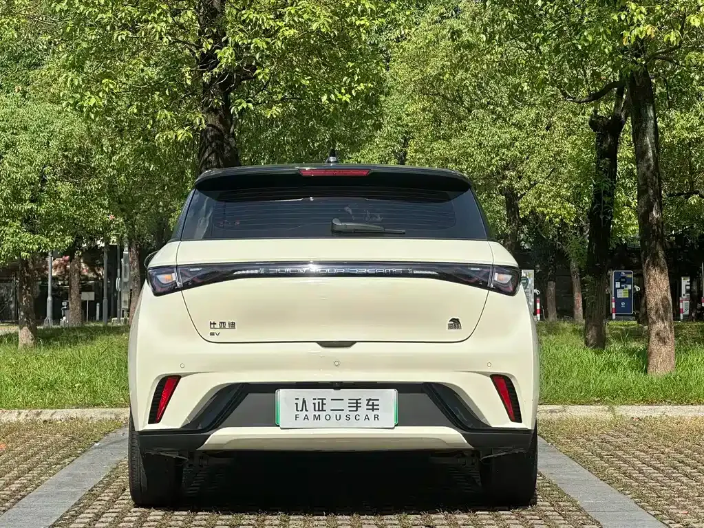 BYD Dolphin 2023 из CN, фото 10