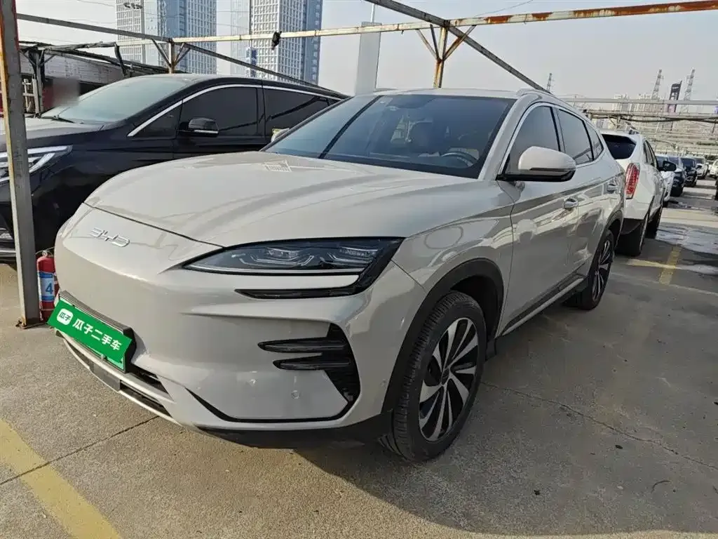 BYD PLUS New Energy 2024 из CN, фото 1