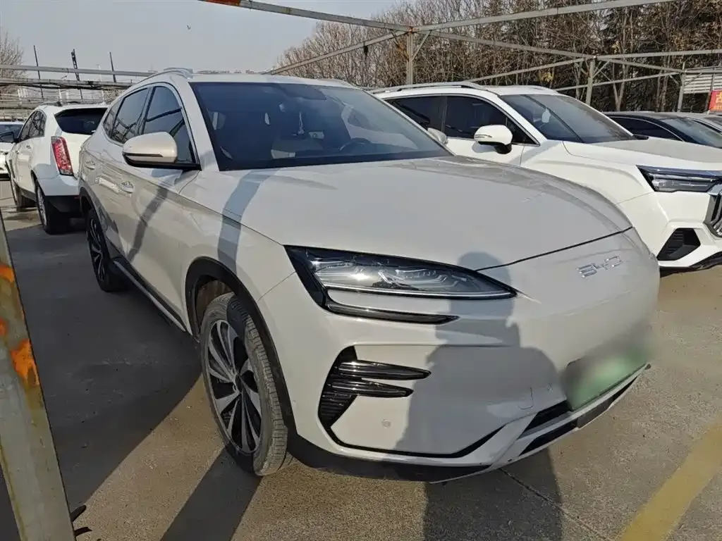 BYD PLUS New Energy 2024 из CN, фото 6