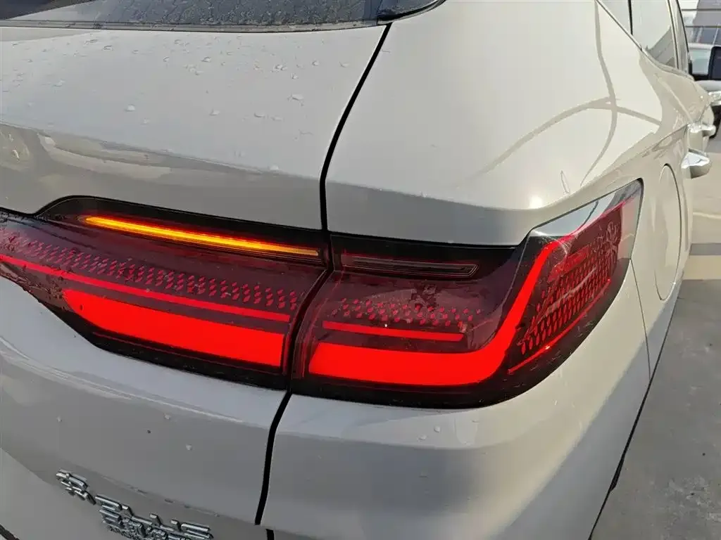 BYD PLUS New Energy 2024 из CN, фото 2