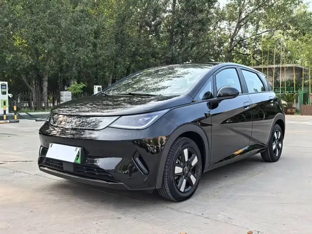 BYD Dolphin 2025 из CN, фото 1