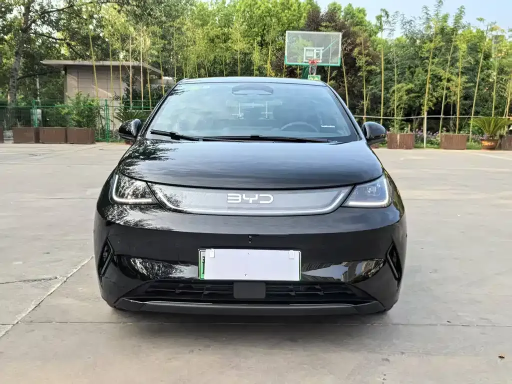 BYD Dolphin 2025 из CN, фото 2