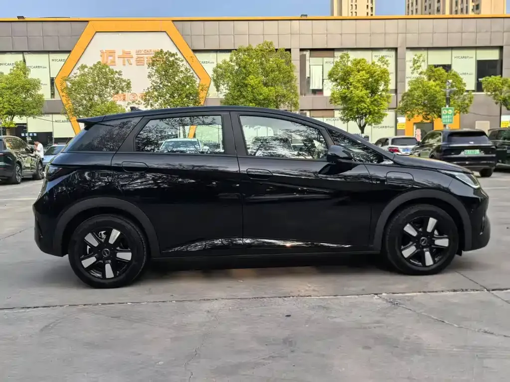 BYD Dolphin 2025 из CN, фото 8
