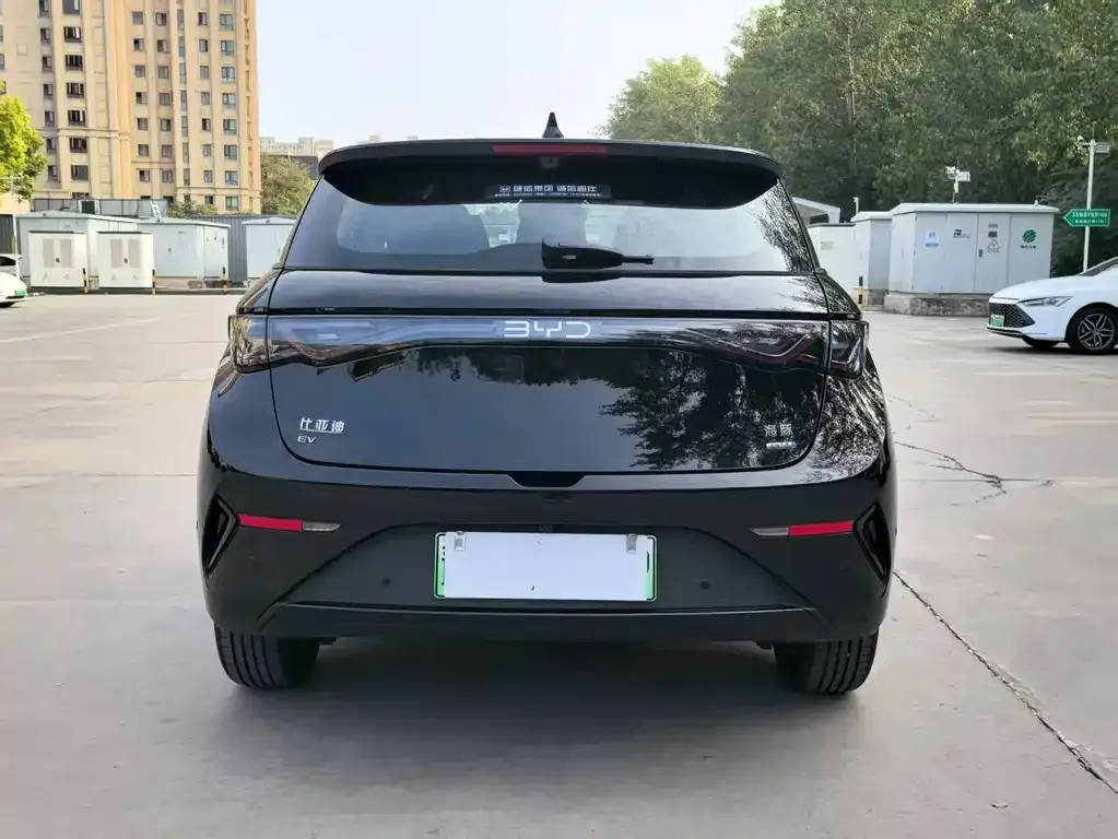 BYD Dolphin 2025 из CN, фото 5