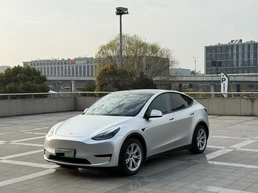 Tesla Model Y 2022 из CN, фото 1
