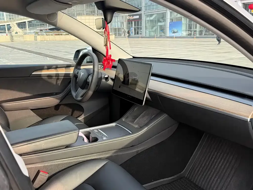 Tesla Model Y 2022 из CN, фото 6