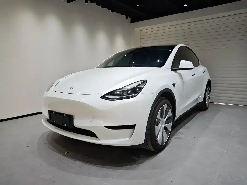 Tesla Model Y 2022 из CN, фото 1