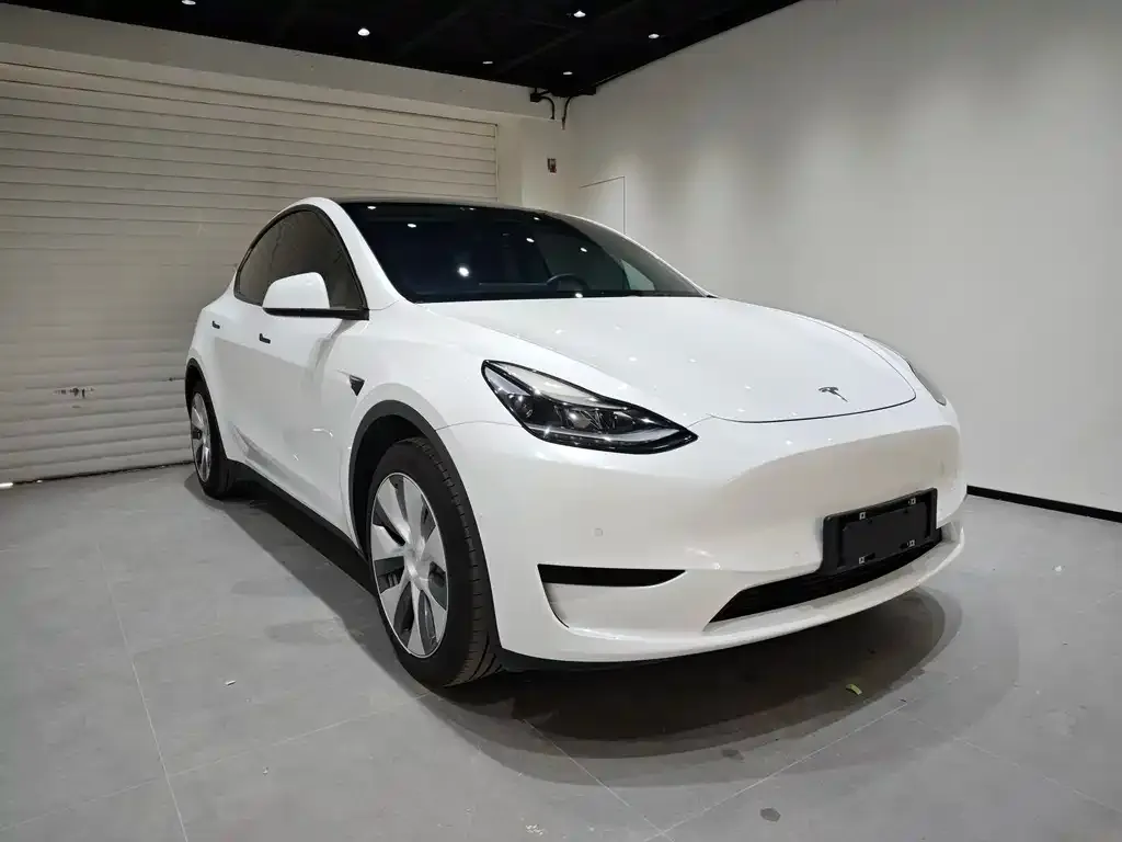 Tesla Model Y 2022 из CN, фото 5