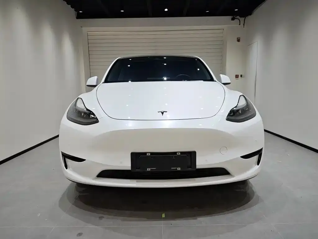 Tesla Model Y 2022 из CN, фото 3