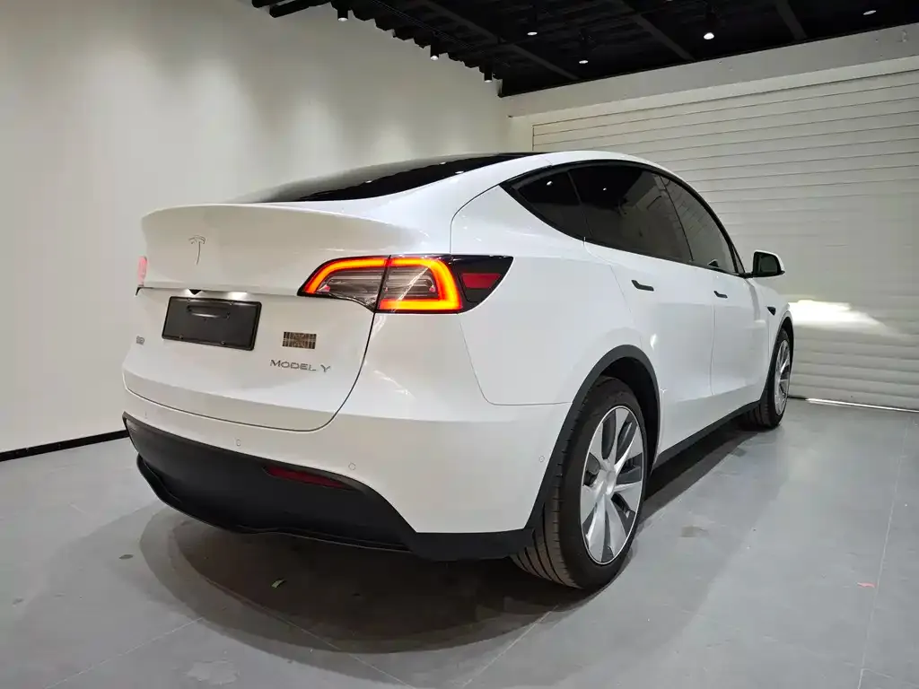 Tesla Model Y 2022 из CN, фото 2