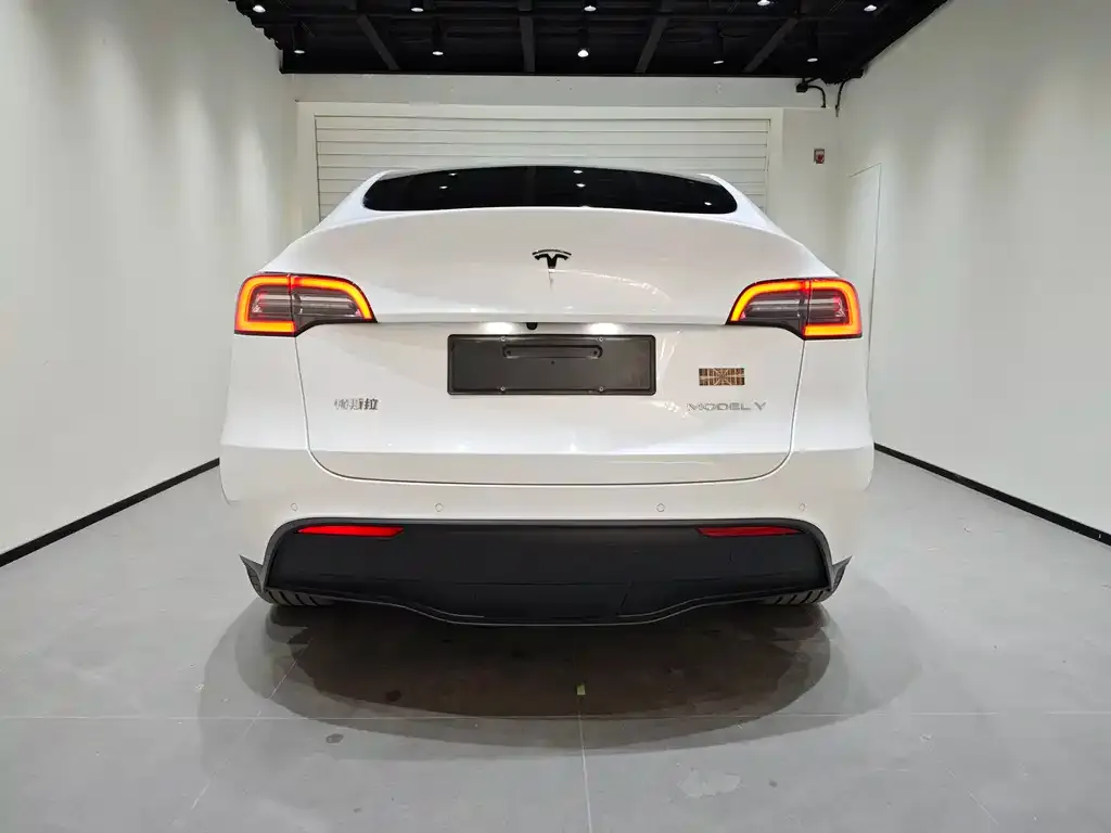 Tesla Model Y 2022 из CN, фото 4