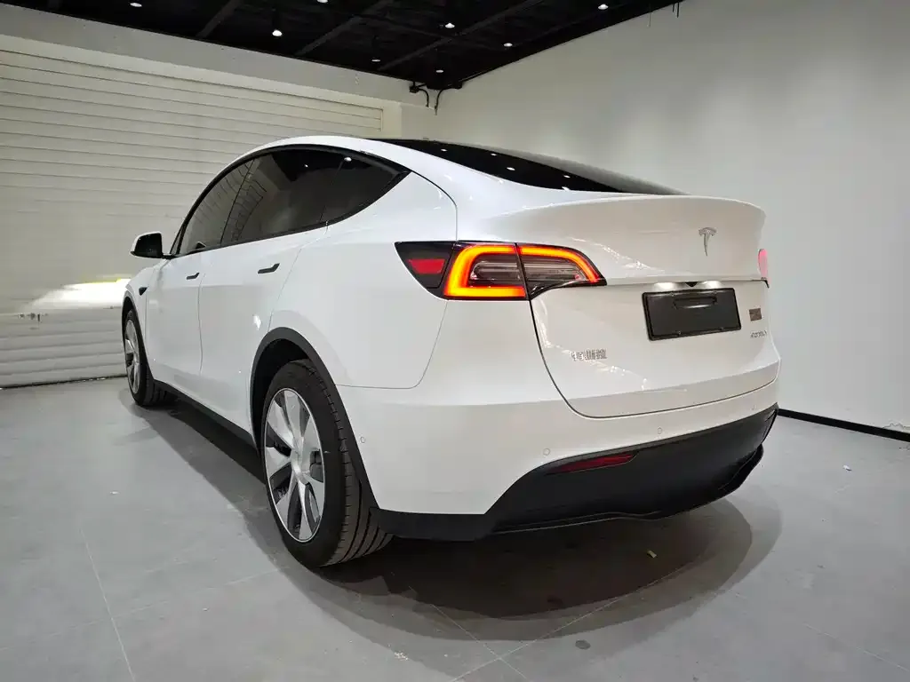 Tesla Model Y 2022 из CN, фото 6