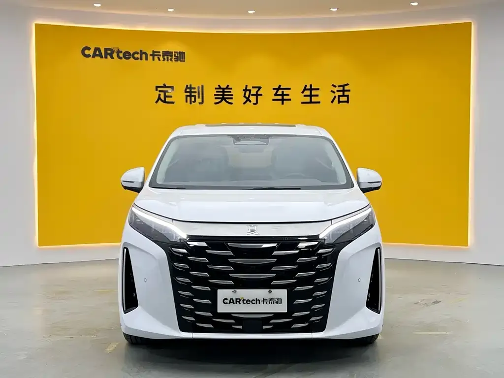 BYD Xia 2025 из CN, фото 2