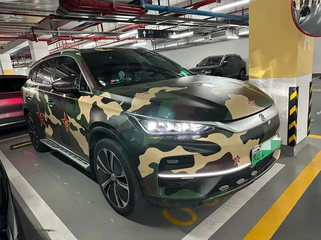 BYD Tang New Energy 2024 из CN, фото 9