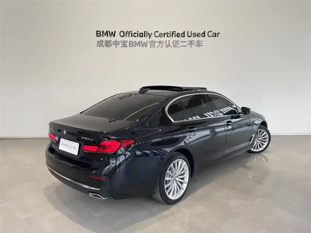 BMW 5 Series 2023 из CN, фото 5