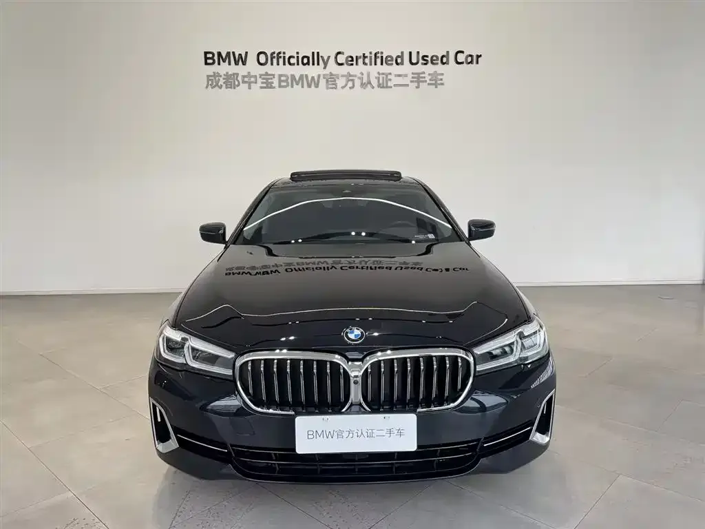 BMW 5 Series 2023 из CN, фото 3