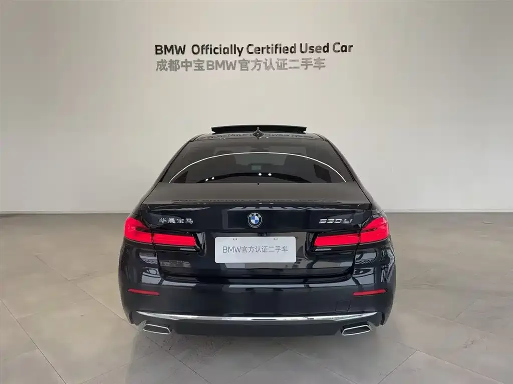 BMW 5 Series 2023 из CN, фото 6
