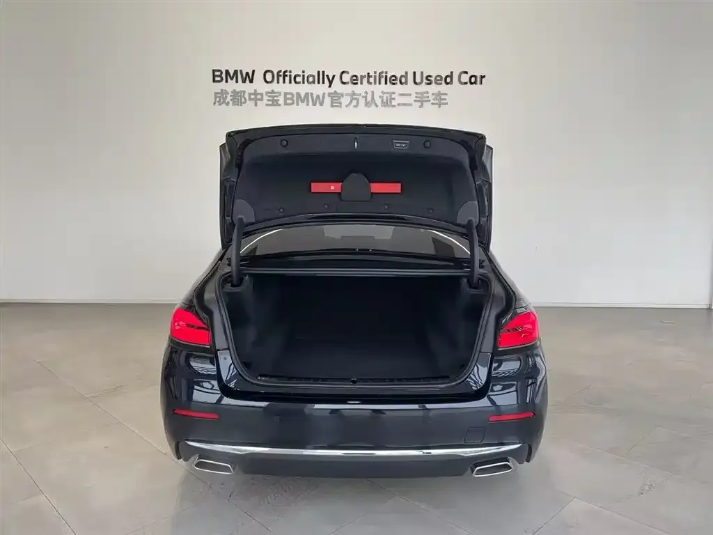 BMW 5 Series 2023 из CN, фото 4