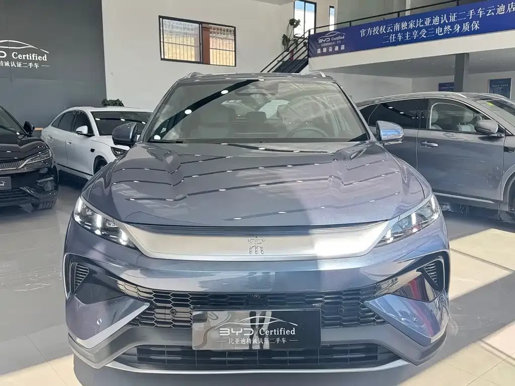 BYD Pro New Energy 2025 из CN, фото 5