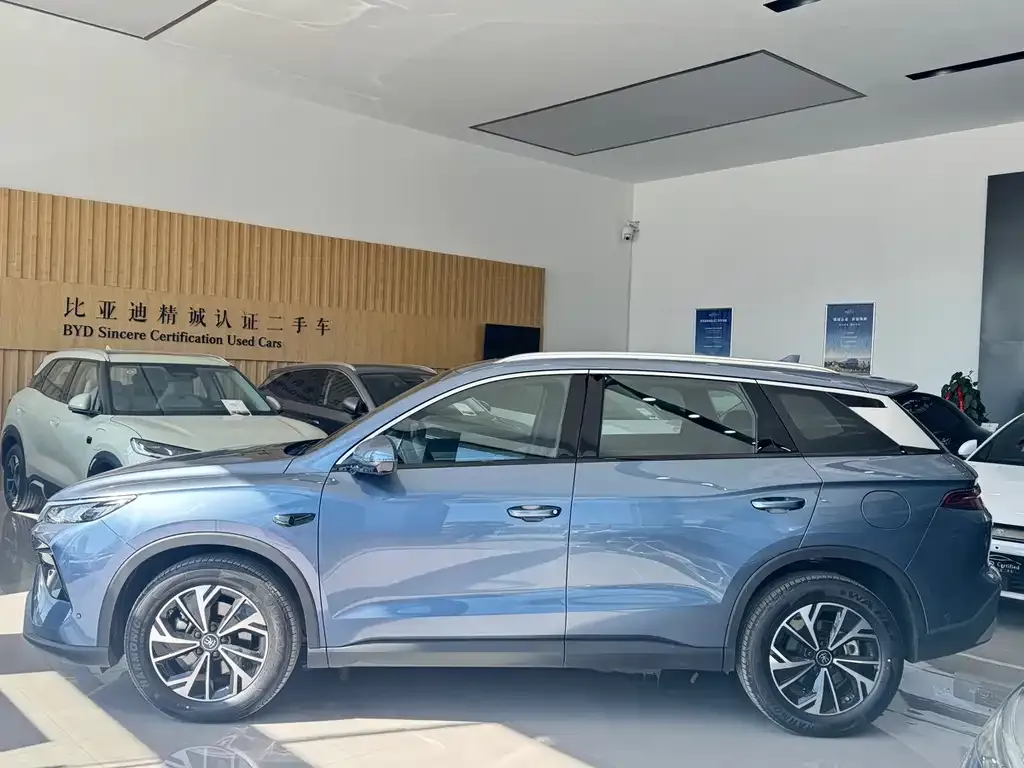 BYD Pro New Energy 2025 из CN, фото 3
