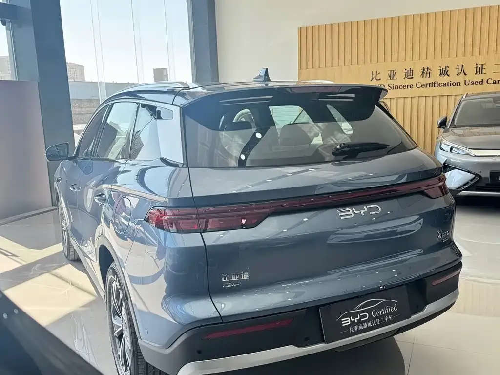 BYD Pro New Energy 2025 из CN, фото 2