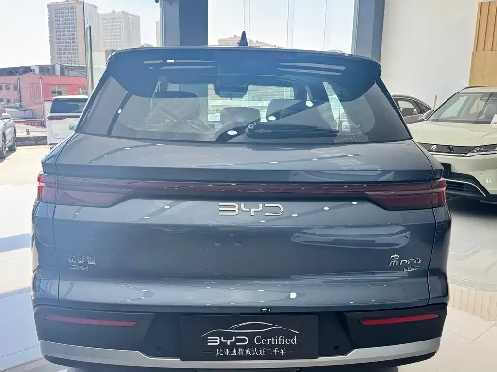 BYD Pro New Energy 2025 из CN, фото 4