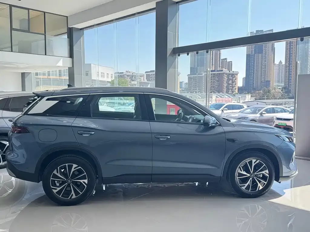 BYD Pro New Energy 2025 из CN, фото 7