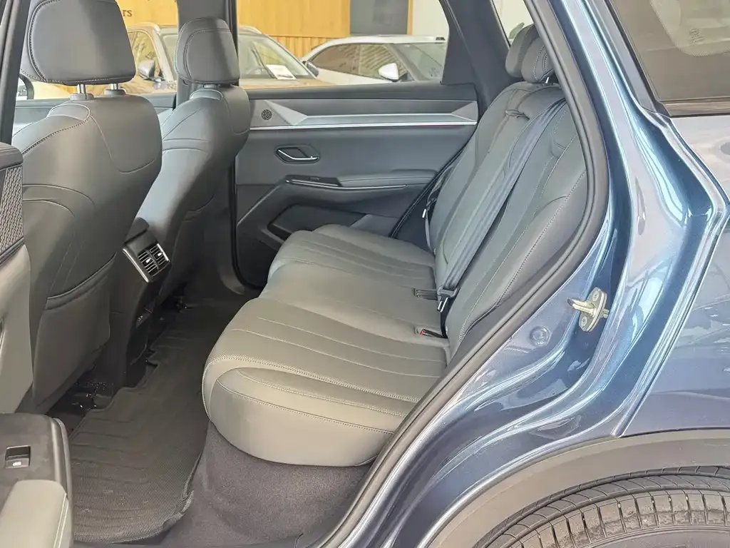 BYD Pro New Energy 2025 из CN, фото 8