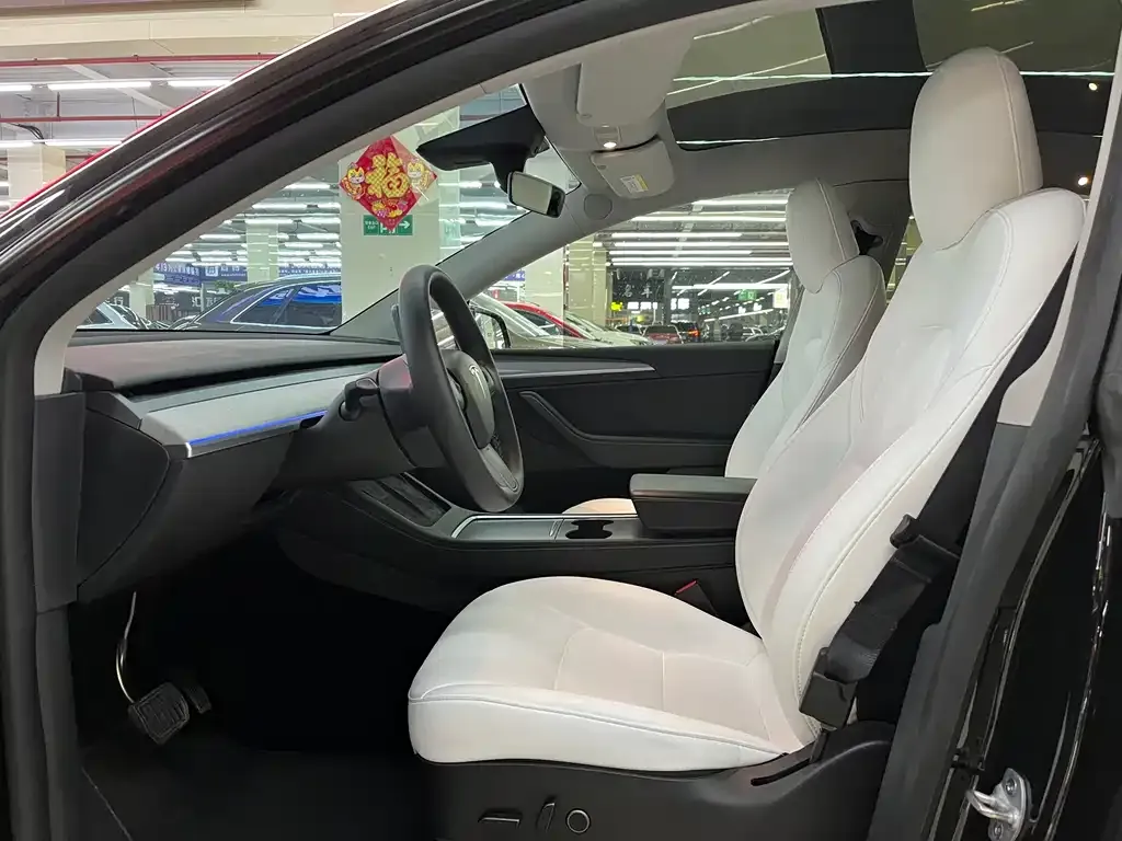 Tesla Model Y 2022 из CN, фото 2