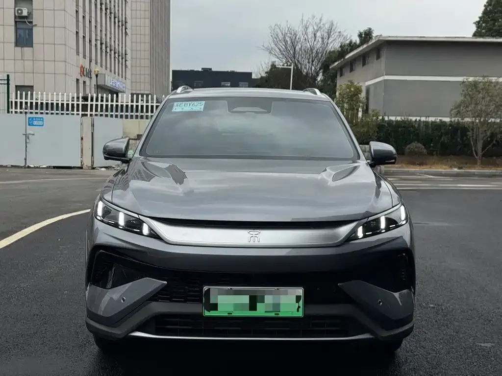BYD Pro New Energy 2025 из CN, фото 4