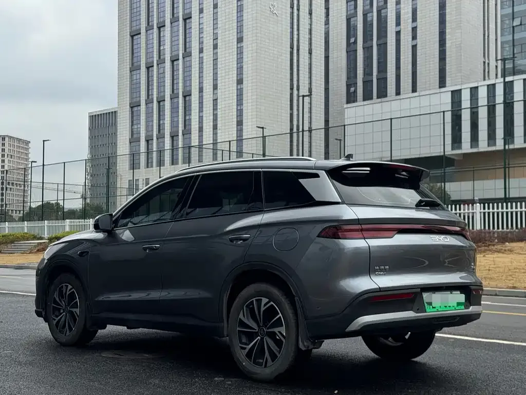 BYD Pro New Energy 2025 из CN, фото 3