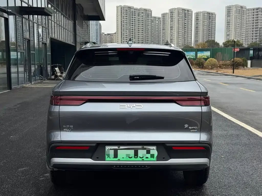 BYD Pro New Energy 2025 из CN, фото 7