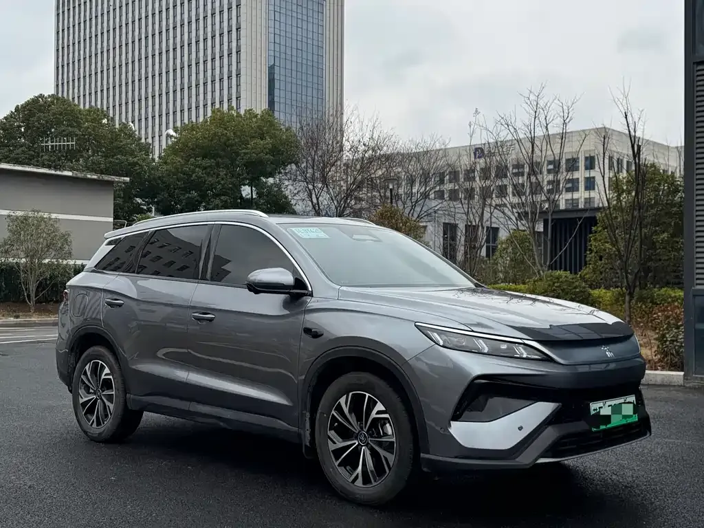 BYD Pro New Energy 2025 из CN, фото 10