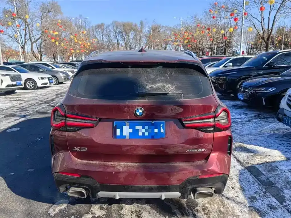 BMW X3 2021 из CN, фото 6