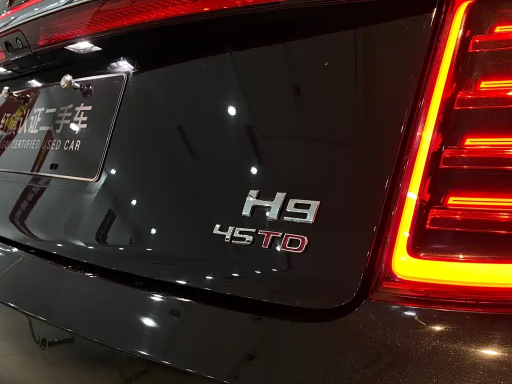 Hongqi H9 — фото 9