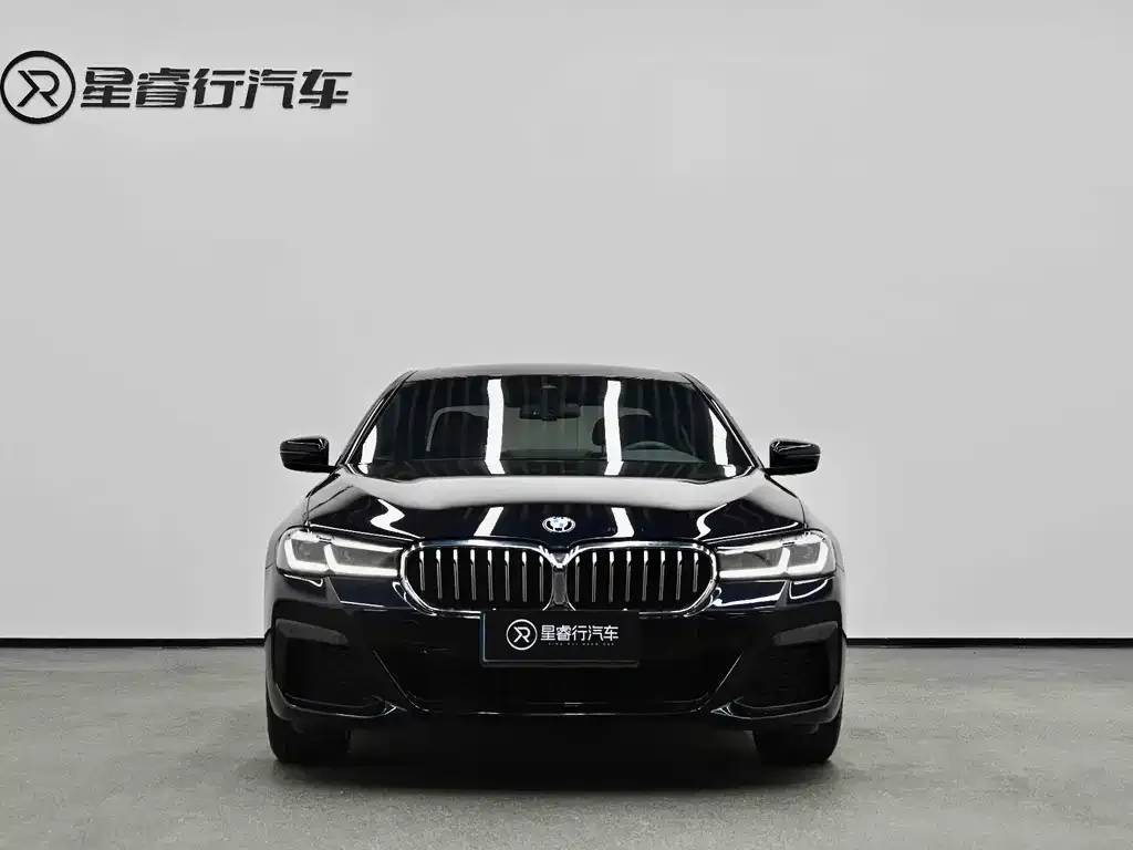 BMW 5 Series 2022 из CN, фото 4