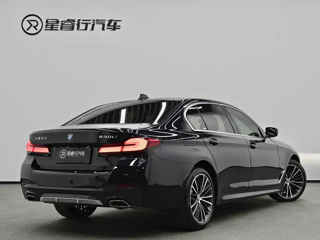 BMW 5 Series 2022 из CN, фото 3