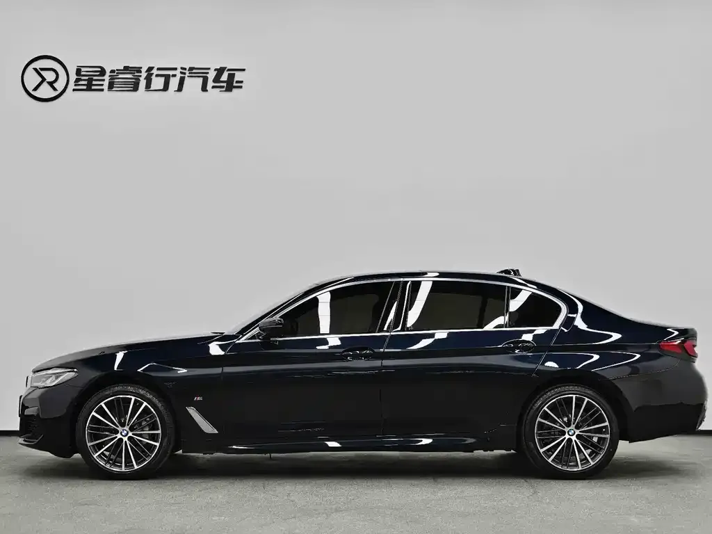 BMW 5 Series 2022 из CN, фото 6