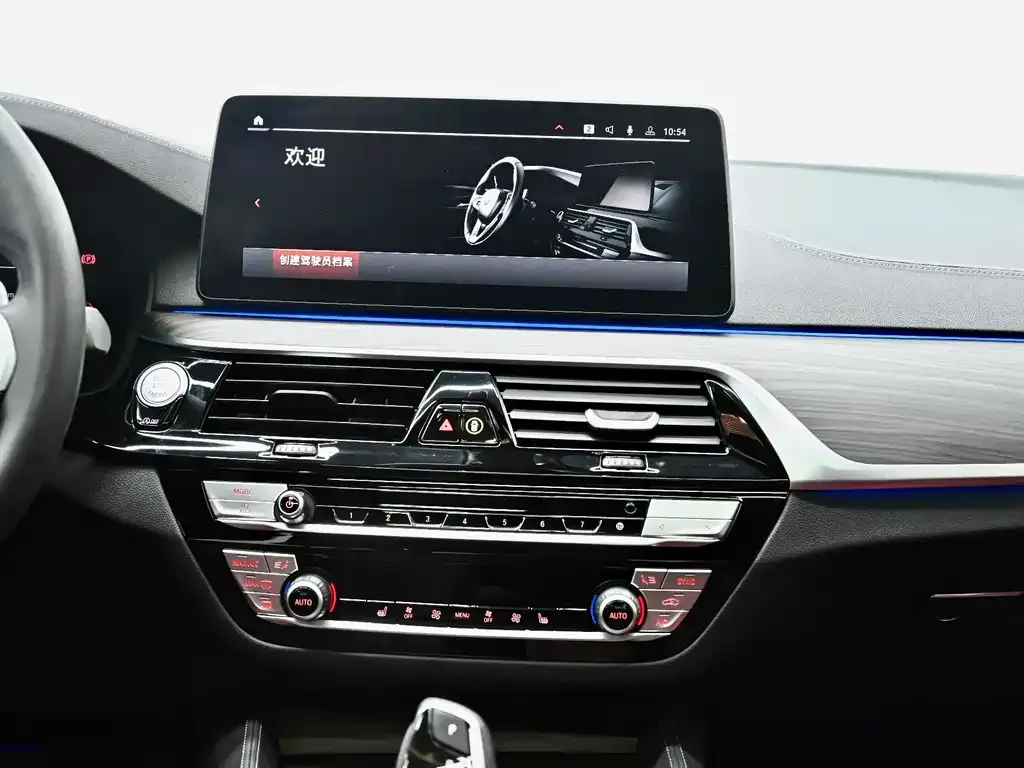 BMW 5 Series 2022 из CN, фото 7