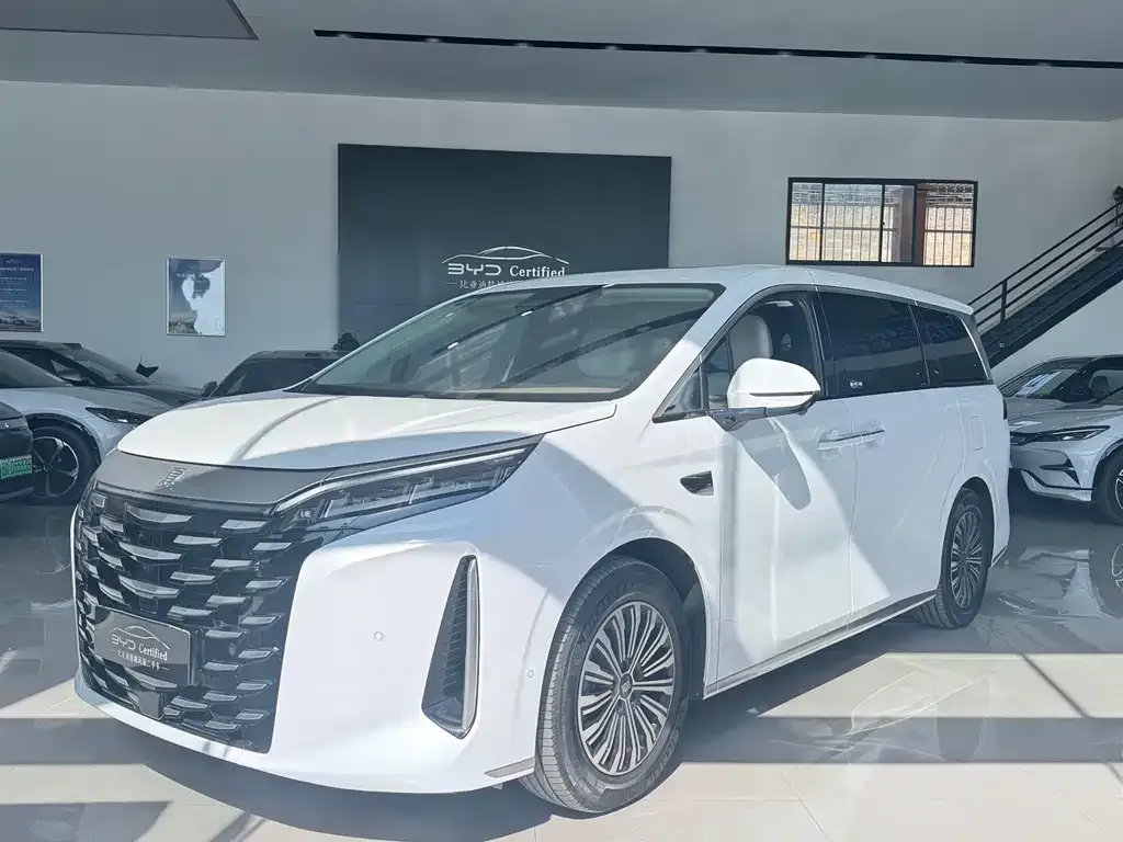 BYD Xia 2025 из CN, фото 1