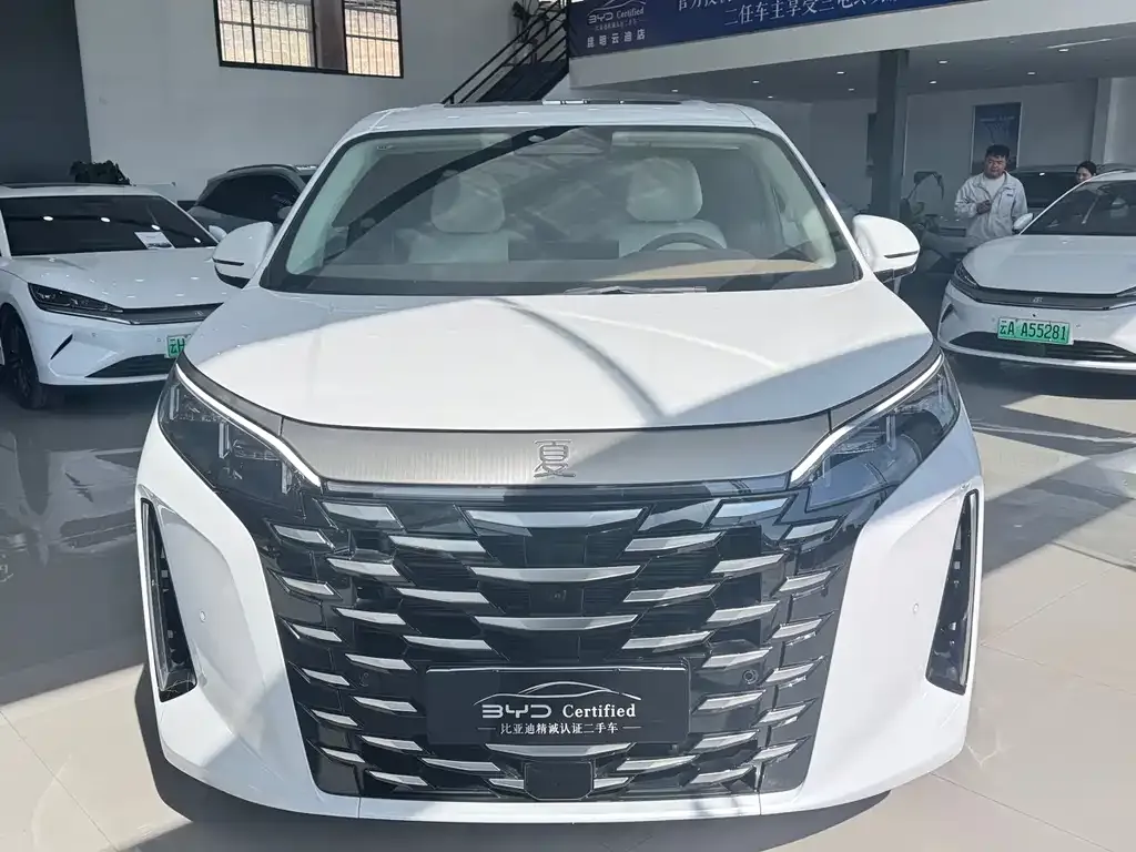 BYD Xia 2025 из CN, фото 3