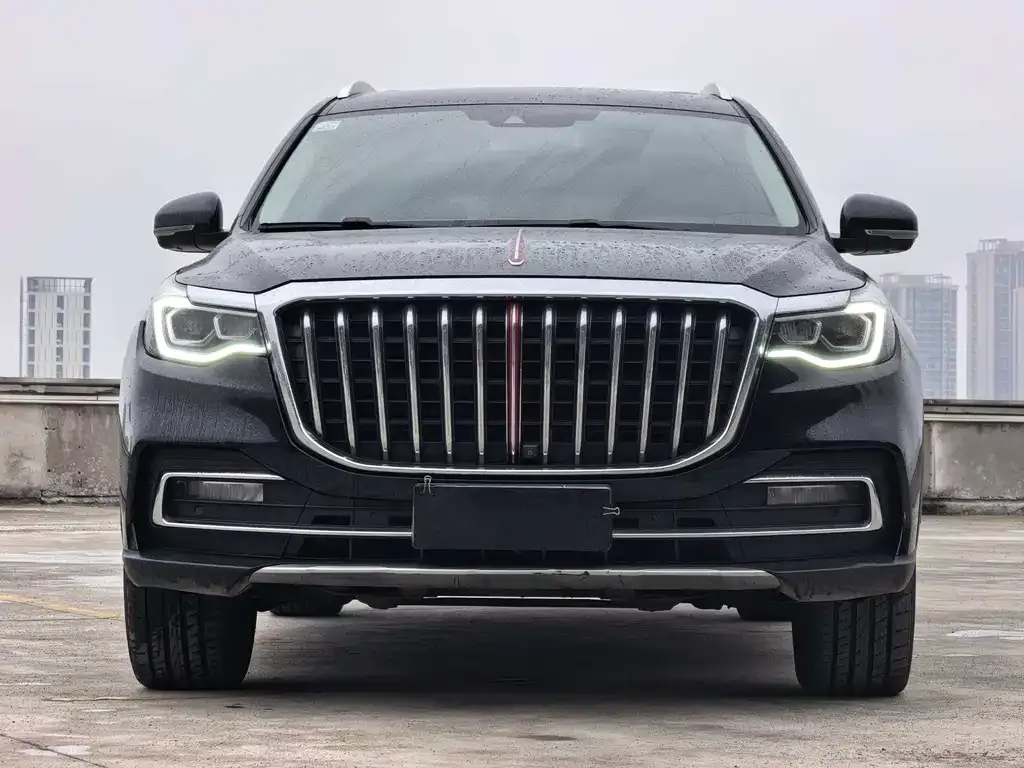 Hongqi HS7 2021 из CN, фото 6