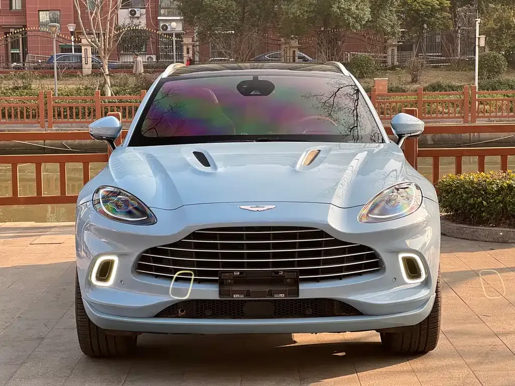Aston Martin DBX 2022 из CN, фото 9