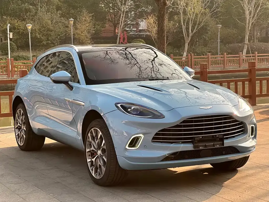 Aston Martin DBX 2022 из CN, фото 6