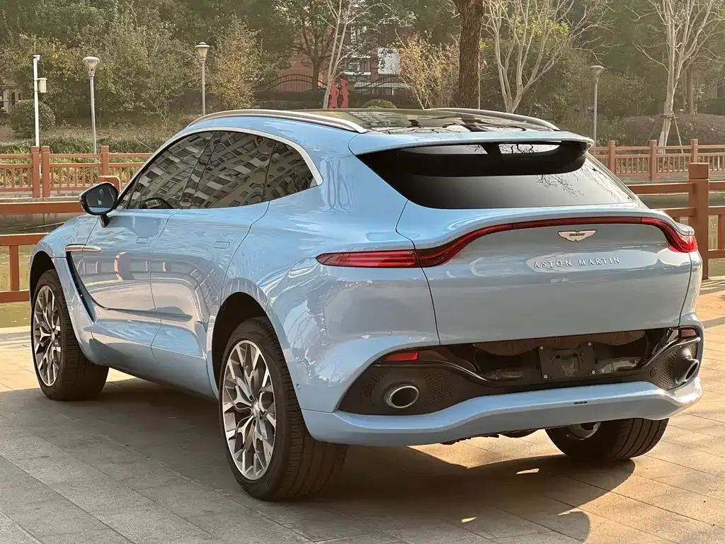 Aston Martin DBX 2022 из CN, фото 8