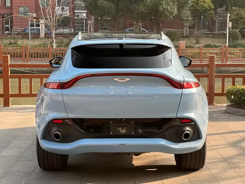 Aston Martin DBX 2022 из CN, фото 5