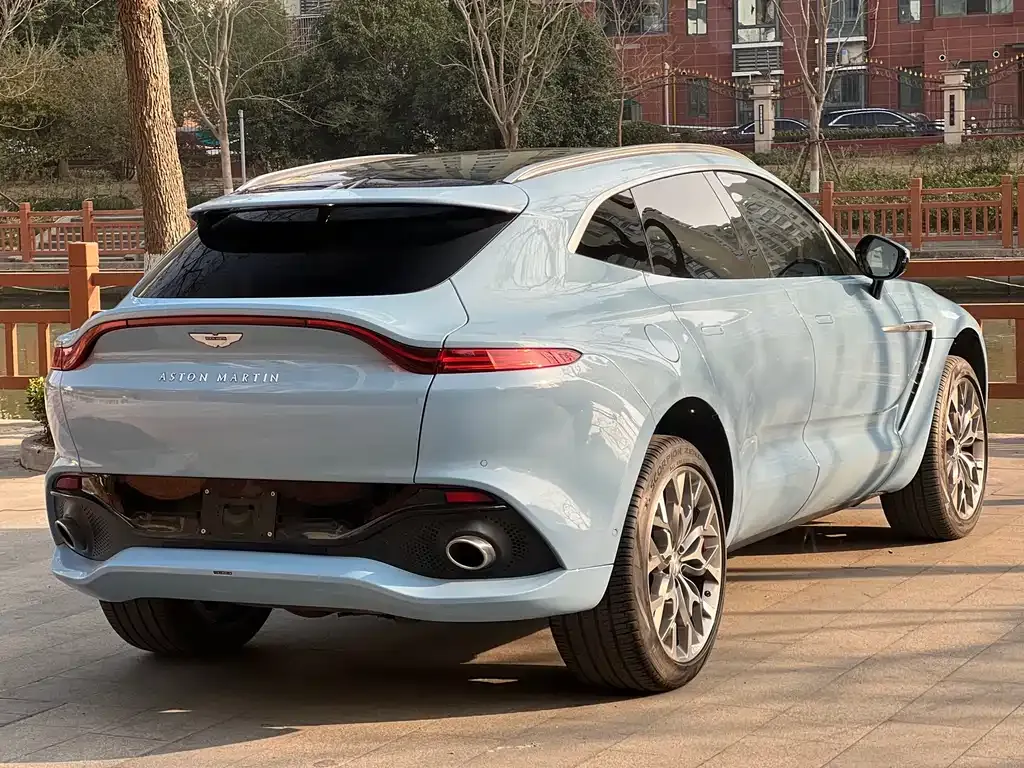 Aston Martin DBX 2022 из CN, фото 7