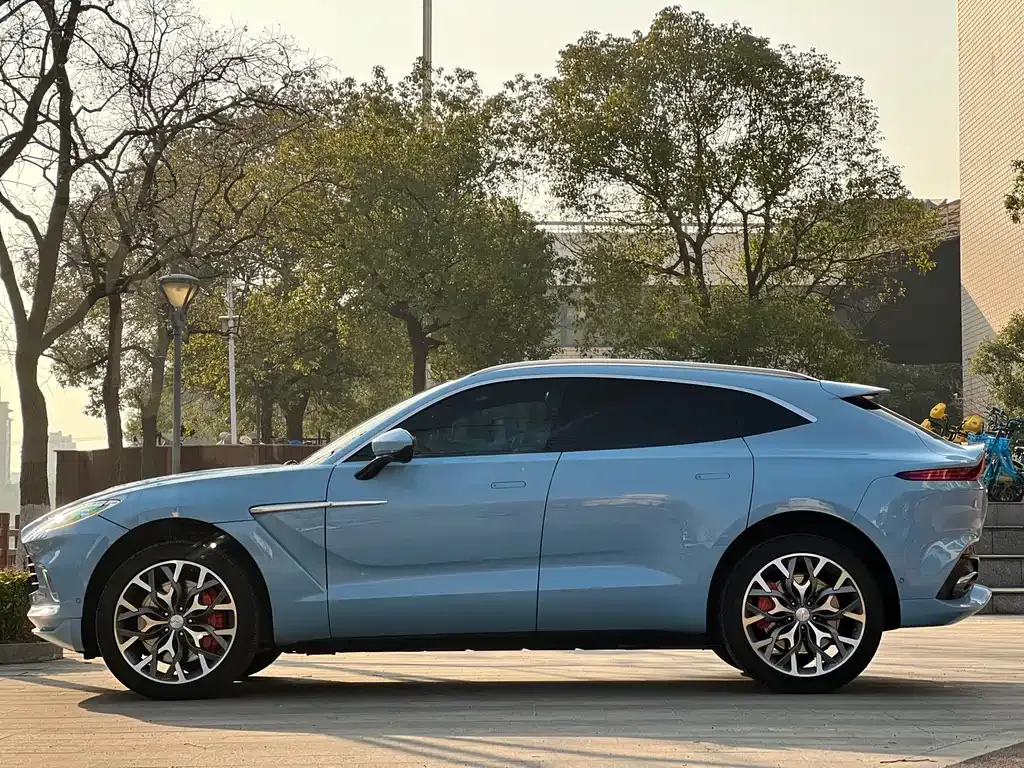 Aston Martin DBX 2022 из CN, фото 10